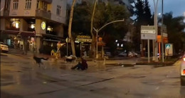 ADANA’DA SAHİPSİZ KÖPEKLERİN YAYAYA SALDIRMASI KAMERAYA YANSIDI