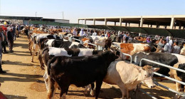 SOKAKTA KURBAN KESİMİ YAPANLARA 3.036 TL PARA CEZASI UYGULANACAK