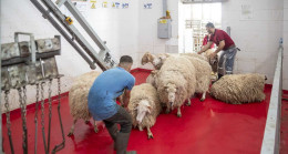 MERSİN BÜYÜKŞEHİRBELEDİYESİ KURBAN BAYRAMI DOLAYISIYLA ŞEHİTLER İÇİN KURBAN KESTİ