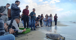 HATAY’DA DALMA VE BESLENME SORUNU YAŞAYAN CARETTA CARETTA TEDAVİSİNİN ARDINDAN DENİZE BIRAKILDI