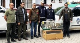 OSMANİYE’DE İSTİLACI KUŞ SATIŞI YAPAN İŞ YERİNİN SAHİBİNE 41 BİN 817 LİRA PARA CEZASI