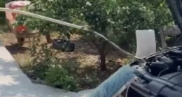 ADANA’DA OTOMOBİLİN MOTOR BÖLÜMÜNE GİREN YILANI İTFAİYE EKİPLERİ ÇIKARDI