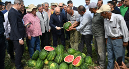 Adana’da sezonun ilk karpuz hasadı yapıldı