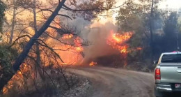 ADANA’NIN KOZAN İLÇESİNDE ÇIKAN ORMAN YANGININA KARADAN VE HAVADAN MÜDAHALE  EDİLİYOR