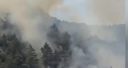 Adana’nın Feke ilçesinde ormanlık alanda çıkan yangına havadan ve karadan müdahale ediliyor.