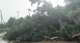 Adana’nın Kozan ve Pozantı ilçelerinde sağanak etkili oldu