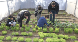Adana’da ortaokul öğrencileri, okullarında sebze yetiştirip tavuk besliyor