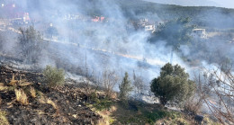 İskenderun’da çıkan bahçe yangını söndürüldü