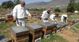 Mersin’de arıcılar sezonun ilk polen hasadını yaptı