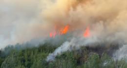 ADANA’DA ORMANLIK ALANDA ÇIKAN YANGINA HAVADAN VE KARADAN MÜDAHALE EDİLİYOR