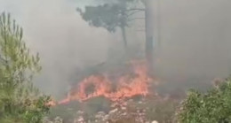 Mersin’de çıkan orman yangını kontrol altına alındı