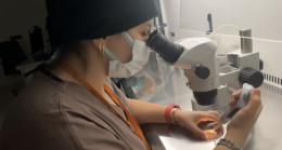 Gaziantep’te Dar gelirli ailelere ücretsiz tüp bebek desteği