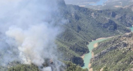 Adana’da ormanlık alanda yangın çıktı