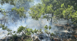 Osmaniye’de çıkan orman yangını kontrol altına alındı