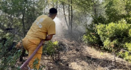 Adana’nın Feke ilçesinde çıkan orman yangını kontrol altına alındı