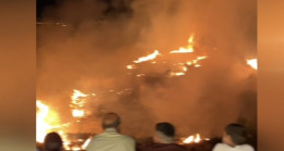 Mersin’de otluk alanda çıkan yangın Ekiplerin müdahalesiyle söndürüldü