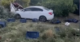 Mersin’de otomobilin zeytin toplayan işçilere çarptığı kazada ölü sayısı 2’ye çıktı