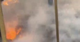 Osmaniye’de yangın çıkan çiftlikteki hayvanlar telef oldu