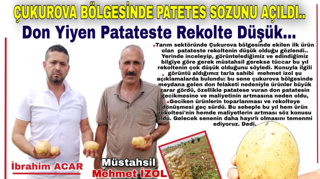 DON YİYEN PATATESTE REKOLTE DÜŞÜK