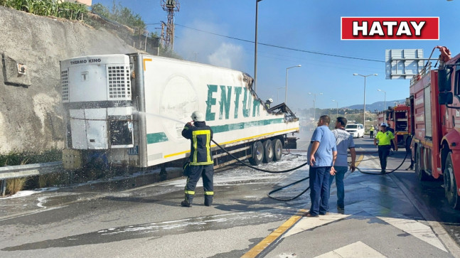 HATAY’DA ALEV ALAN TIRIN DORSESİ KULLANILAMAZ HALE GELDİ