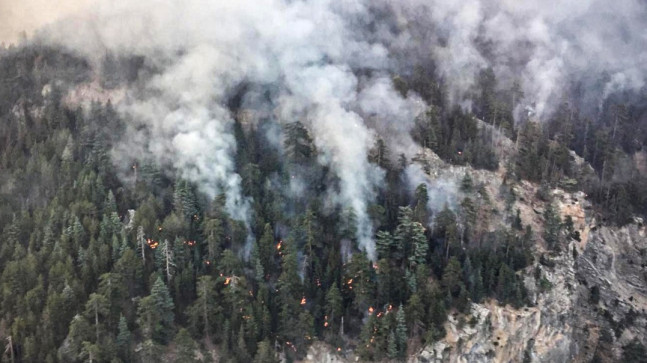 MERSİN’DEKİ ORMAN YANGININA HAVADAN MUDAHALE SABAH SAATLERİNDE YENİDEN BAŞLATILDI.