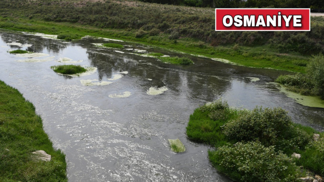 OSMANİYE’ DE ATIK SU DÖKÜLDÜĞÜ İDDİA EDİLEN SAVRUN ÇAYI’NDAN NUMUNE ALINDI.
