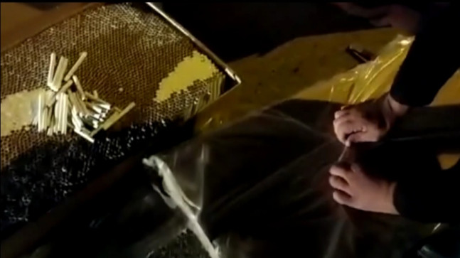 ADANA’DA 7 MİLYON 290 BİN KAÇAK SİGARA ELE GEÇİRİLDİ