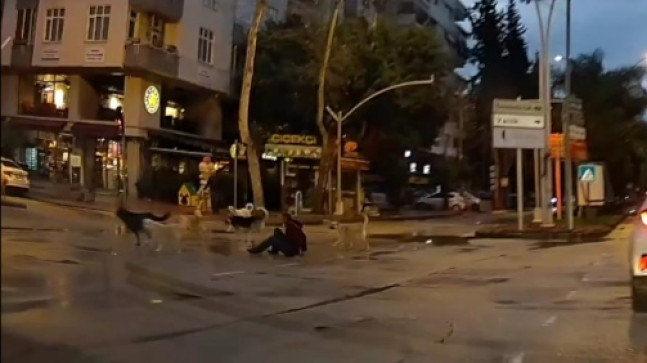 ADANA’DA SAHİPSİZ KÖPEKLERİN YAYAYA SALDIRMASI KAMERAYA YANSIDI