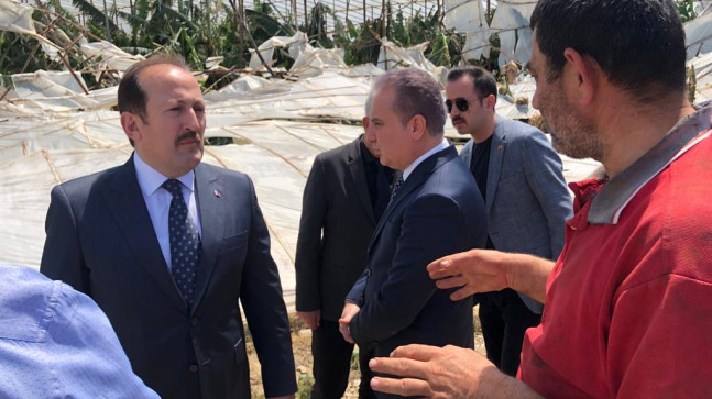 MERSİN VALİSİ PEHLİVAN, ANAMUR’DA HORTUMDA ZARAR GÖREN ALANLARI İNCELEDİ