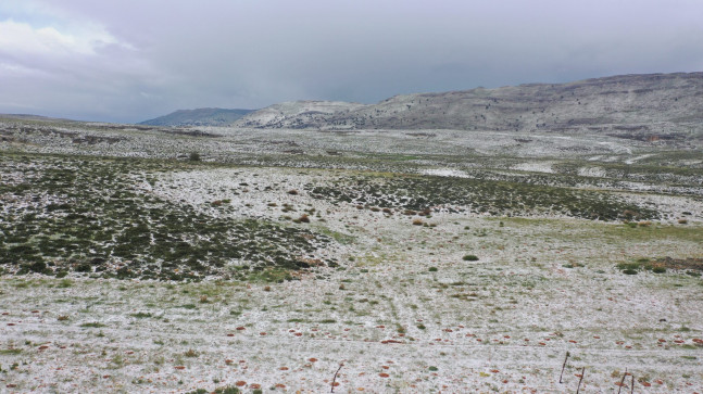 MERSİN’DE YAYLAYA YAĞAN KAR, ARICILARI BAL REKOLTESİ İÇİN UMUTLANDIRDI