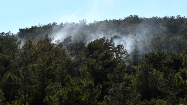 MERSİN’DE ÇIKAN ORMAN YANGINI  HAVADAN VE KARADAN MÜDAHALEYLE KONTROL ALTINA ALINDI