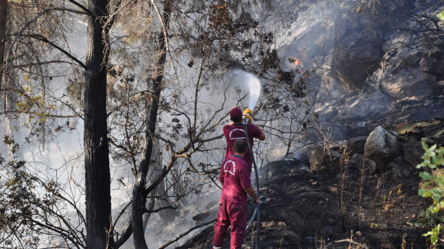 MERSİN’DE MEYVE BAHÇESİNDE BAŞLAYAN YANGIN ORMANA SIÇRADI