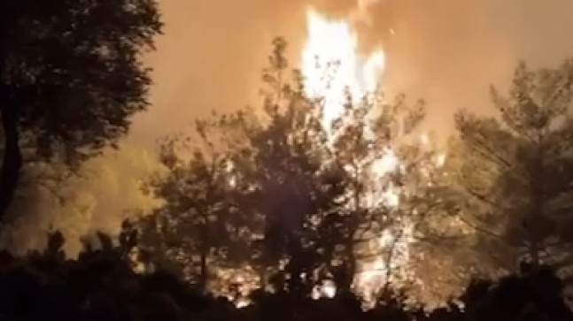 ADANA’NIN KOZAN İLÇESİNDE ÇIKAN ORMAN YANGININA MÜDAHALE EDİLİYOR