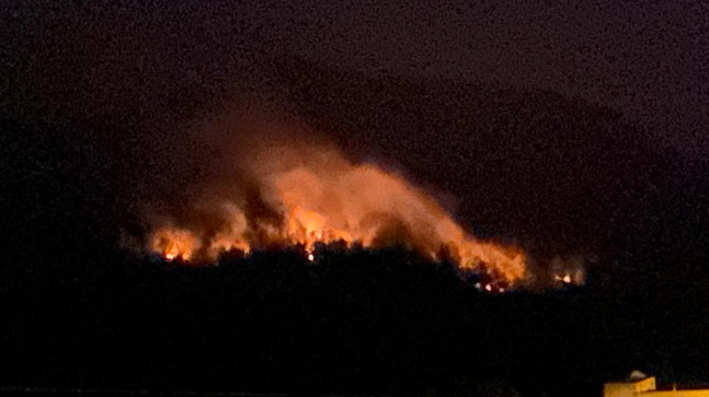 ADANA’NIN KOZAN İLÇESİNDE ÇIKAN ORMAN YANGINI KONTROL ALTINA ALINDI