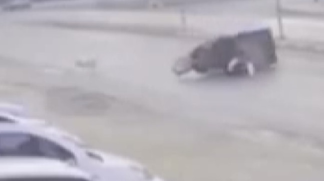 MERSİN’DE SAHİPSİZ KÖPEKTEN KAÇAN SEPETLİ MOTOSİKLETİN DEVRİLMESİ KAMERAYA YANSIDI