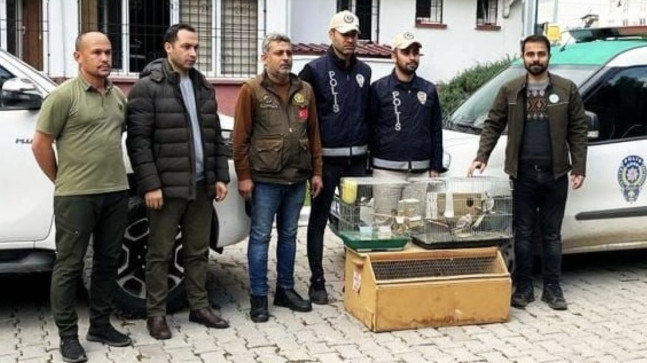 OSMANİYE’DE İSTİLACI KUŞ SATIŞI YAPAN İŞ YERİNİN SAHİBİNE 41 BİN 817 LİRA PARA CEZASI