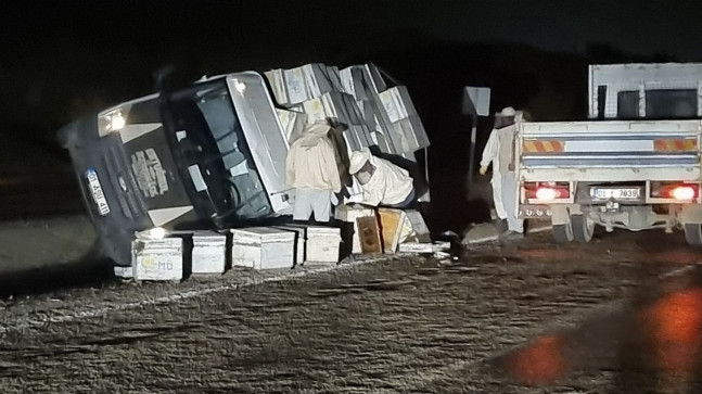 ADANA’DA DEVRİLEN ARI KOVANI YÜKLÜ KAMYONETİN SÜRÜCÜSÜ YARALANDI