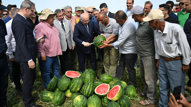 Adana’da sezonun ilk karpuz hasadı yapıldı