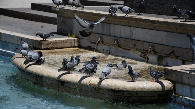 Adana’da 43 dereceye ulaşan hava sıcaklığı hayatı olumsuz etkiledi.