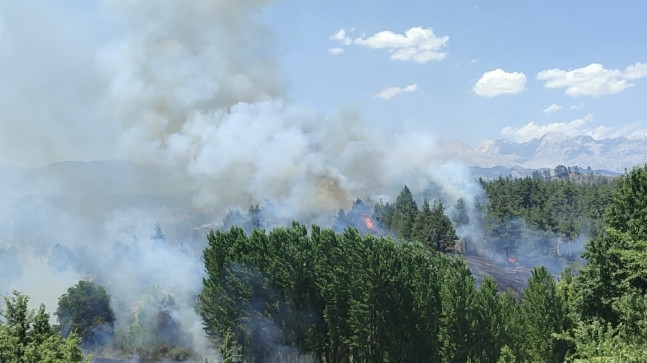 Adana’nın Aladağ ilçesinde çıkan yangın kontrol altına alındı.