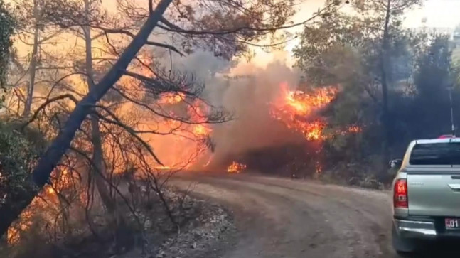 ADANA’NIN KOZAN İLÇESİNDE ÇIKAN ORMAN YANGININA KARADAN VE HAVADAN MÜDAHALE  EDİLİYOR