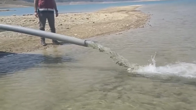 Adana’nın Kozan ilçesindeki baraj göllerine 443 bin sazan yavrusu salındı.