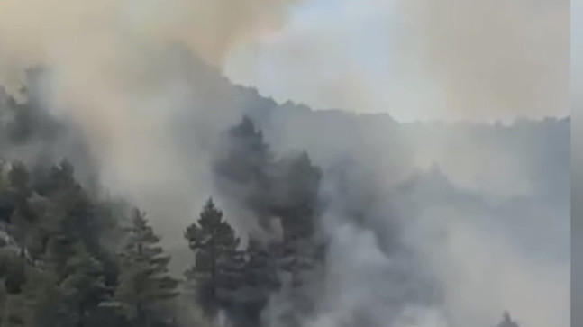 Adana’nın Feke ilçesinde ormanlık alanda çıkan yangına havadan ve karadan müdahale ediliyor.