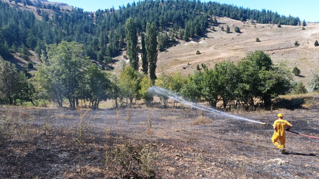 Adana’da ormanlık alana sıçrayan anız yangını kontrol altına alındı