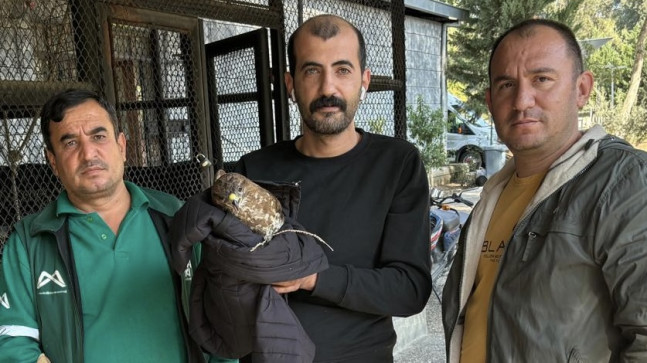 Tarsus’ta bulunan yaralı doğan tedaviye alındı