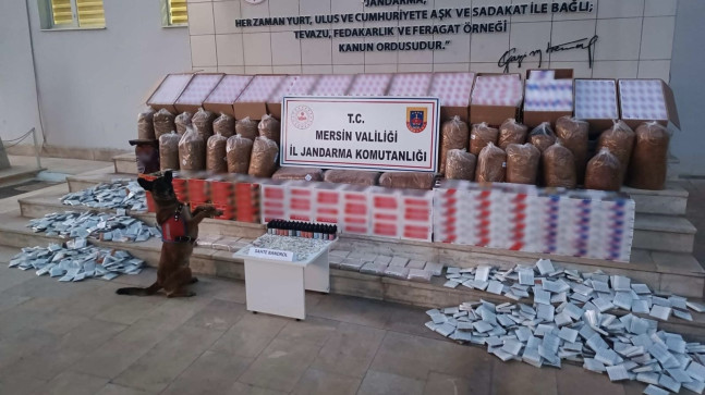 Mersin’de 208 bin 830 makaron ele geçirildi