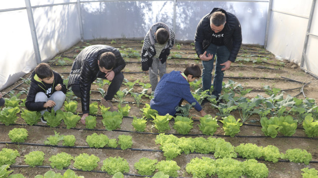 Adana’da ortaokul öğrencileri, okullarında sebze yetiştirip tavuk besliyor