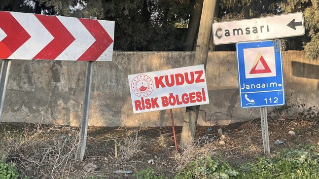 Hatay’da bir mahalle kuduz nedeniyle karantinaya alındı