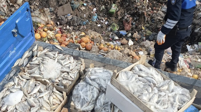 Mersin’de sağlıksız oldukları belirlenen 16 kasa balık imha edildi