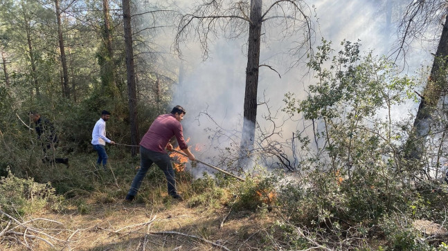 Osmaniye’de çıkan örtü yangınında 1 dekarlık alan zarar gördü